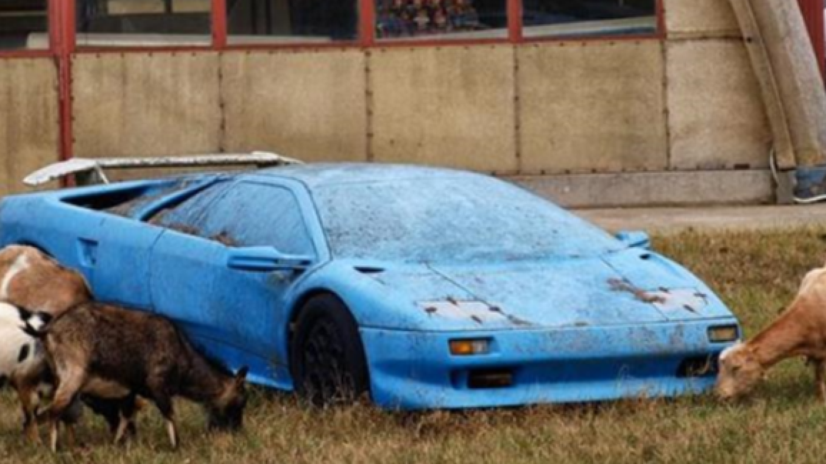 Why You Shouldn’t Leave Your Old Car Sitting Idle in Hobart